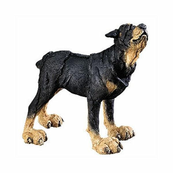 Rottweiler Mini by A Breed Apart