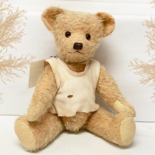 Albert by Sue Fenton - Bruins Bears