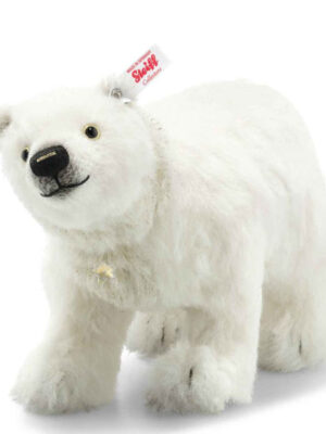 Winter Polar Bear